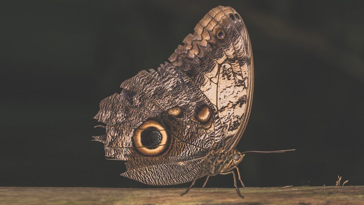 a22fec00abb773d666c35c0dcda314f73941d113782adf410e56f74f0e634ebf