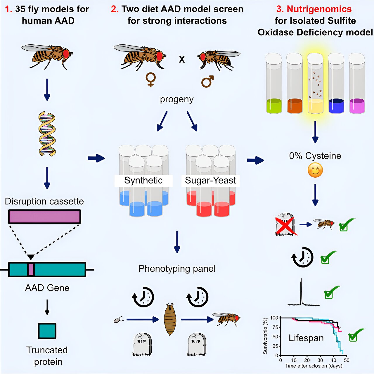 combating infant genet